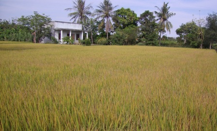 Anh minh hoa